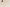 Essenza Porcelain Slab – 900 × 600 × 20mm – White