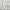 Longrake 20–40mm White Pebbles – 20kg Poly Bag