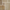 Pavestone 100 × 100 × 40–70mm Fossil Natural Stone Setts