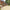 Pavestone 900 × 600 × 20mm Sabbia Desert Porcelain Paving Slab