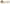 Frisco Tifosi Lever on Rose – Satin Brass/Polished Brass
