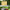 Security Pent Shed - Double Door