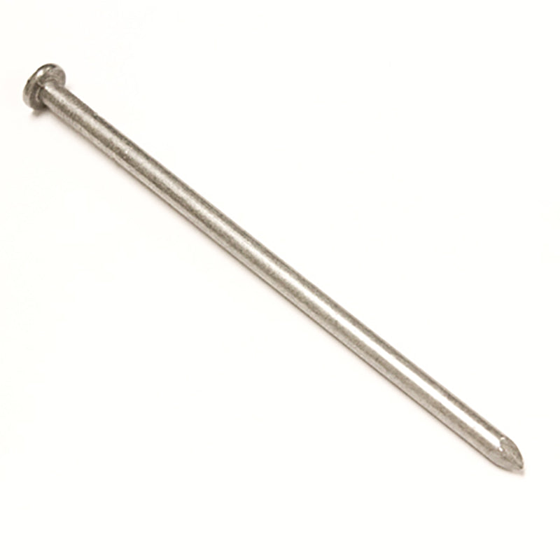 Galvanised steel nail for construction and DIY projects on white background