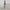 Kana synthetic paint brush 25mm with wooden handle for painting and decorating