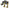 DeWalt Combi Drill & Impact Driver Twin Pack – 18V XR Brushless – 2×5.0Ah