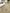 5mm SPC Rigid Core Vinyl Flooring – 1.2m Plank – Ridgeview Oak