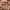 Victorian or Cheshire Pressed Brick Slip – Sold Per Slip