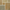 Pavestone 22mm Abbey Natural Limestone Patio Pack – Coverage 15m²