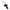 Go Gas Quick Pro Auto Swirl Torch