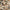 Longrake 14–20mm Flamingo Decorative Chippings – 20kg Poly Bag