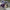 Gardening gloves, purple kneeling pad and lilac watering can on outdoor paving near plants
