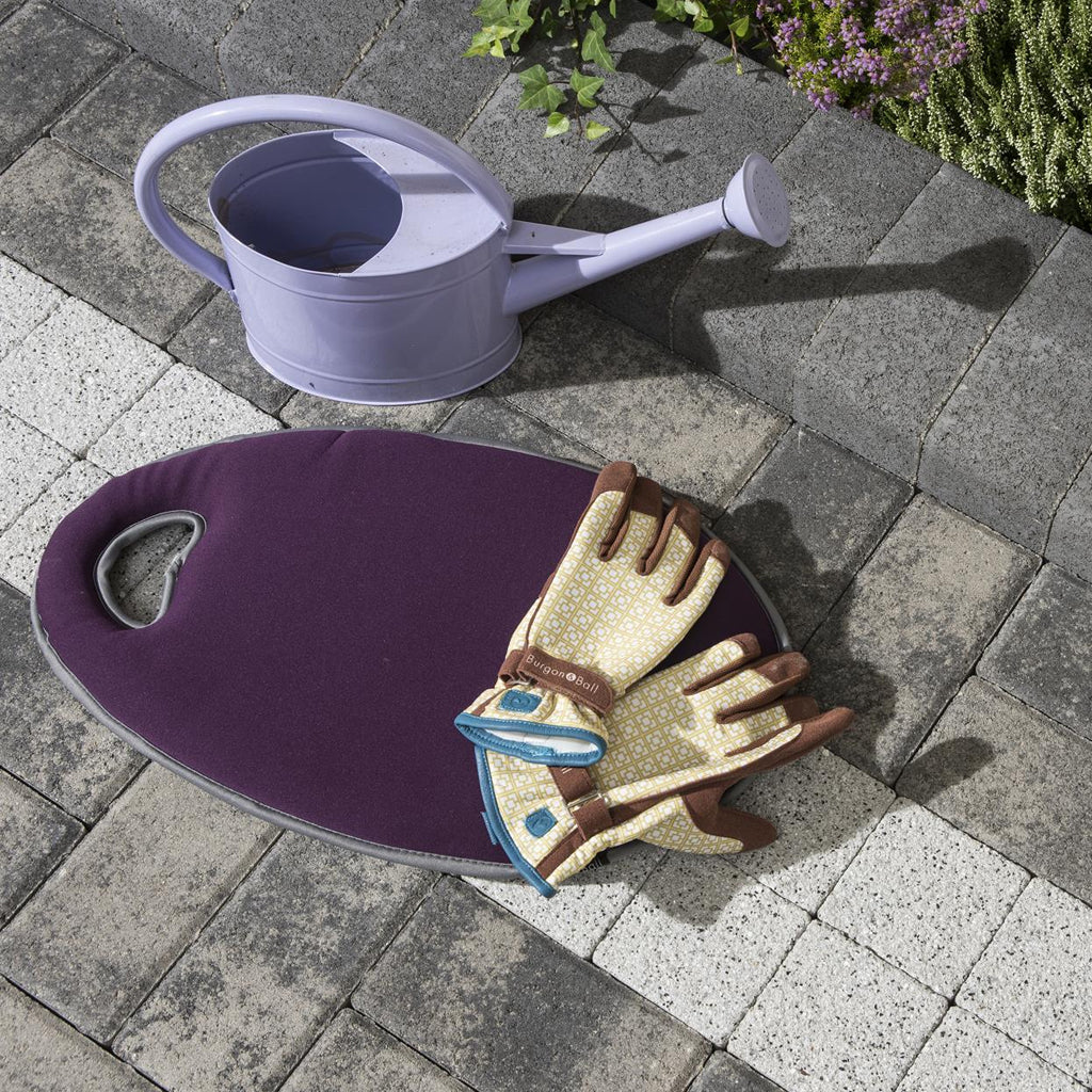 Gardening gloves, purple kneeling pad and lilac watering can on outdoor paving near plants