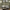 Shaker Wall Slats Trade Pack – 97 × 9 × 2400mm MR MDF FSC – Pack of 8 (WPKT20)