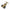 Plasson MDPE Stop Tap – DZR
