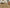 5mm SPC Rigid Core Vinyl Flooring – 1.2m Plank – Parkside Oak