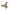 Brass compression stopcock valve for plumbing or water supply systems on white background