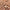 Longrake 20mm Pink Staffordshire Decorative Gravel