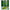 Barrettine Timber Cut End Preserver – Green – 1L