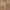 Pavestone 22mm Modak Natural Stone Patio Pack – Coverage 20.7m²