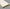 MDF Windowboard – Primed – 25 x 169mm - FSC