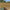 Landscape Battens – Redwood – Rounded 4 Corners - 25 x 50mm to 20 x 44mm