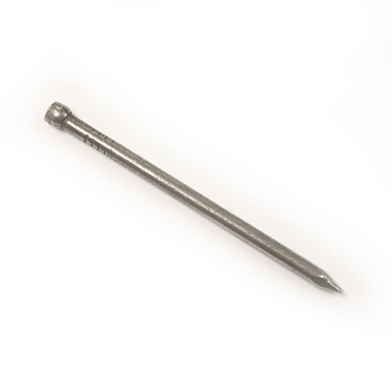 Steel round wire nail for construction, close-up on white background