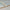 Chipboard Flooring P5 T&G – 22 × 600 × 2400mm – Egger Peel Clean – FSC
