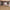 Canyon Oak Laminate Flooring – 7mm – 2.849m² per Pack