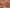 Ibstock Betley Cottage Blend Facing Brick – 65mm