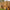 Wooden garden fencing panels with gate, planters, and green lawn outdoors