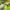Hand holding garden hose spray nozzle watering plants outdoors